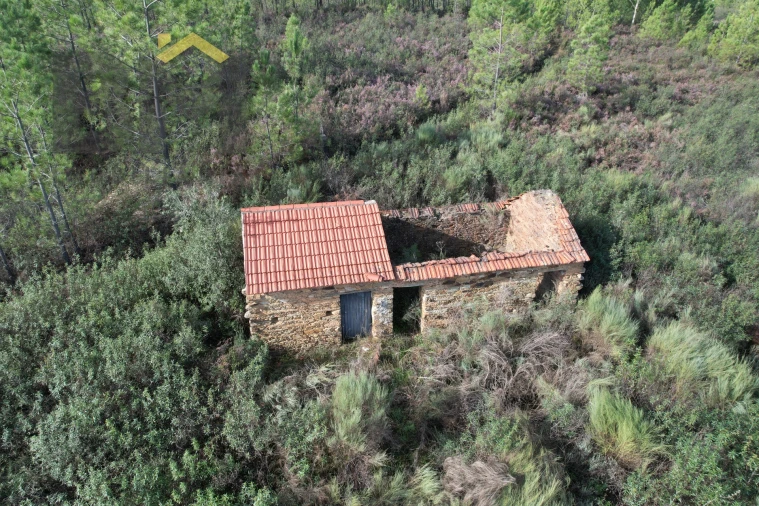 Terreno Agricola ou Rústico para Venda em Sarzedas Foto 11