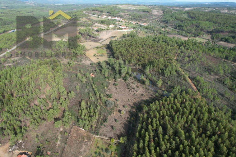 Terreno Agricola ou Rústico para Venda em Sarzedas Foto 9