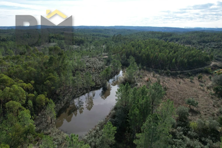 Terreno Agricola ou Rústico para Venda em Sarzedas Foto 8