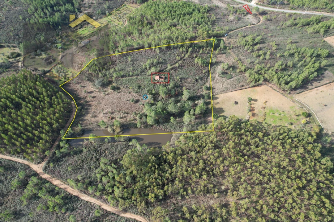 Terreno Agricola ou Rústico para Venda em Sarzedas Foto 1