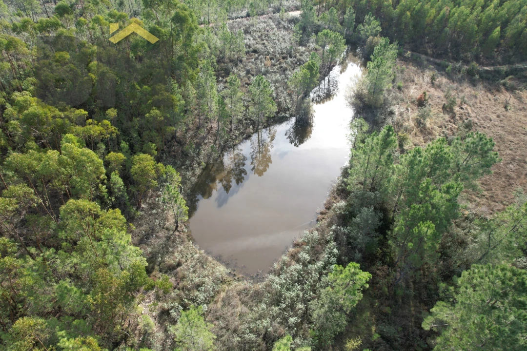 Terreno Agricola ou Rústico para Venda em Sarzedas Foto 2