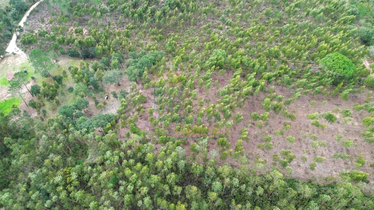 Moradia T2 para Venda em Salir de Matos Foto 22