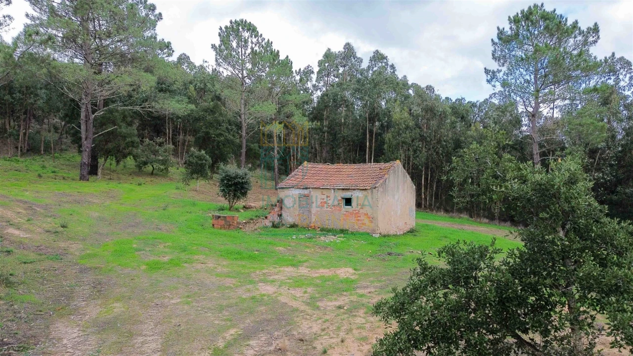 Moradia T2 para Venda em Salir de Matos Foto 3