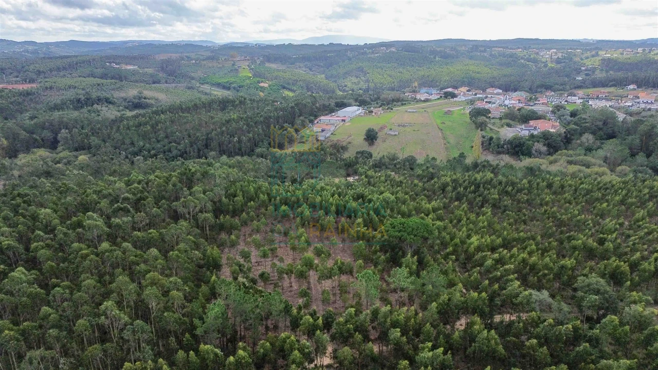 Moradia T2 para Venda em Salir de Matos Foto 17