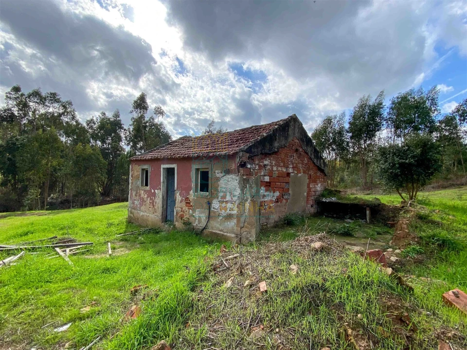 Moradia T2 para Venda em Salir de Matos Foto 2