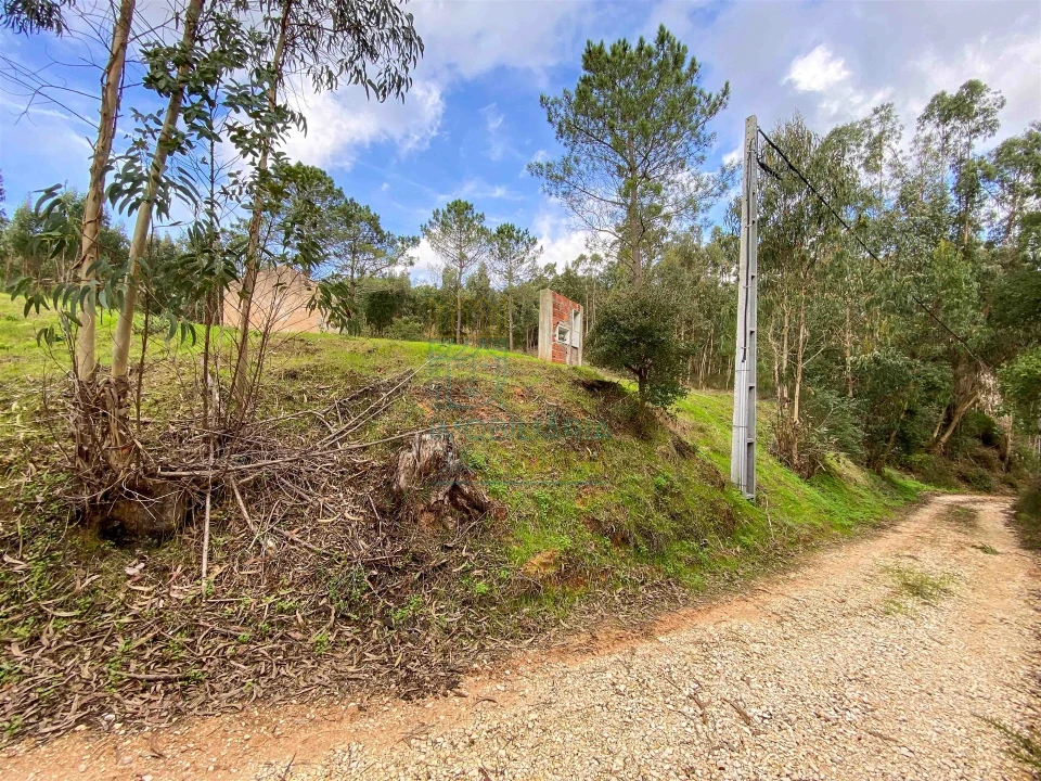 Moradia T2 para Venda em Salir de Matos Foto 20