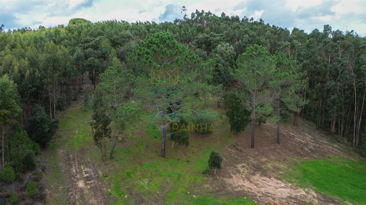 Moradia T2 para Venda em Salir de Matos Foto 15