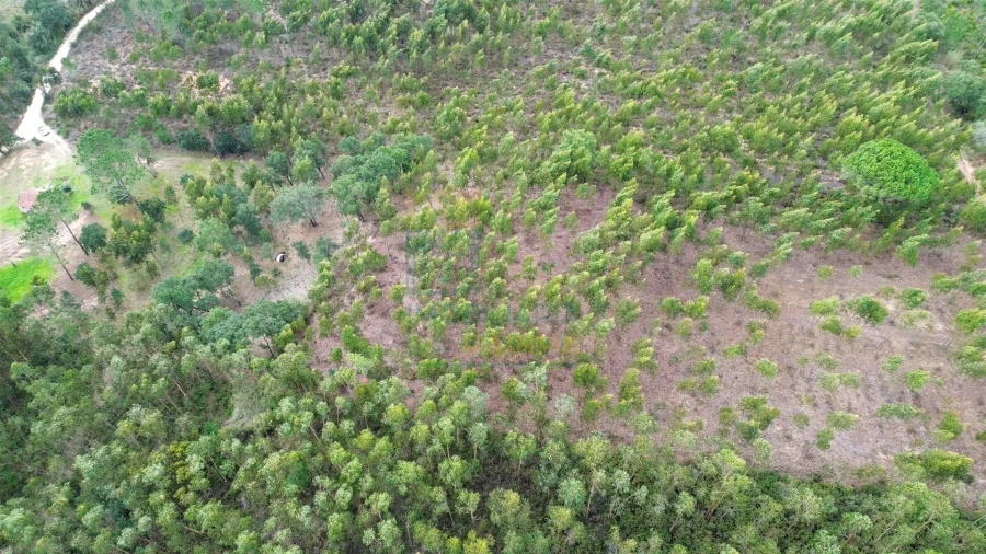 Moradia T2 para Venda em Salir de Matos Foto 22