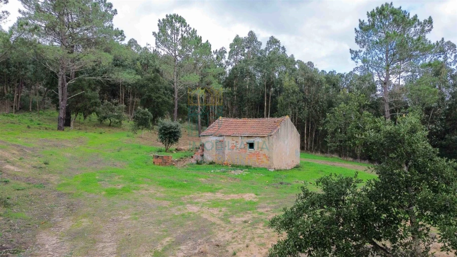 Moradia T2 para Venda em Salir de Matos Foto 3