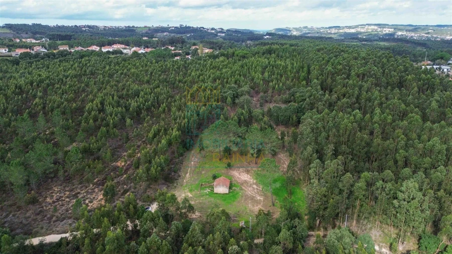 Moradia T2 para Venda em Salir de Matos Foto 10