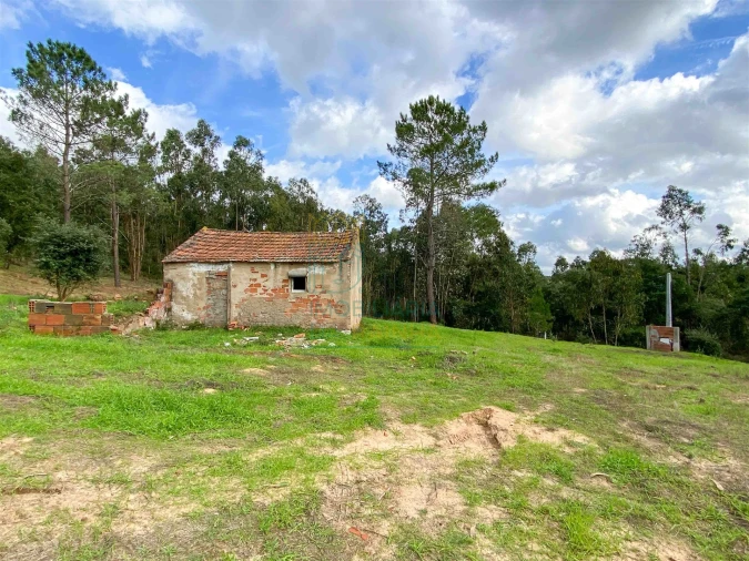 Moradia T2 para Venda em Salir de Matos Foto 5