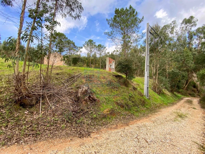 Moradia T2 para Venda em Salir de Matos Foto 20