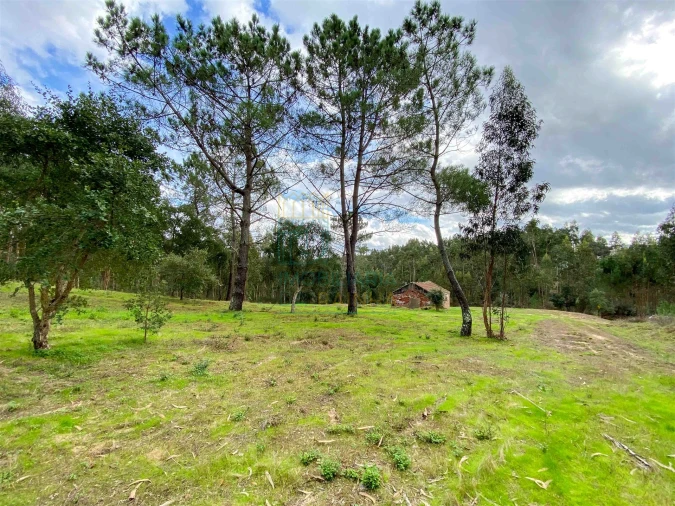 Moradia T2 para Venda em Salir de Matos Foto 18