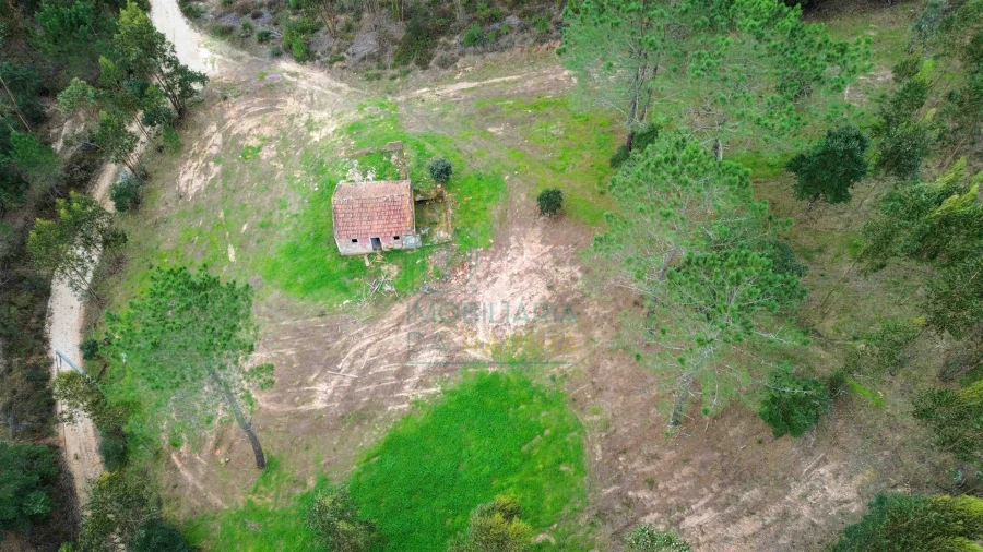 Moradia T2 para Venda em Salir de Matos Foto 23