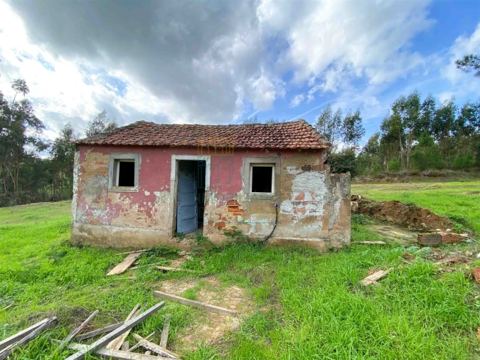 Moradia T2 para Venda em Salir de Matos Foto 1