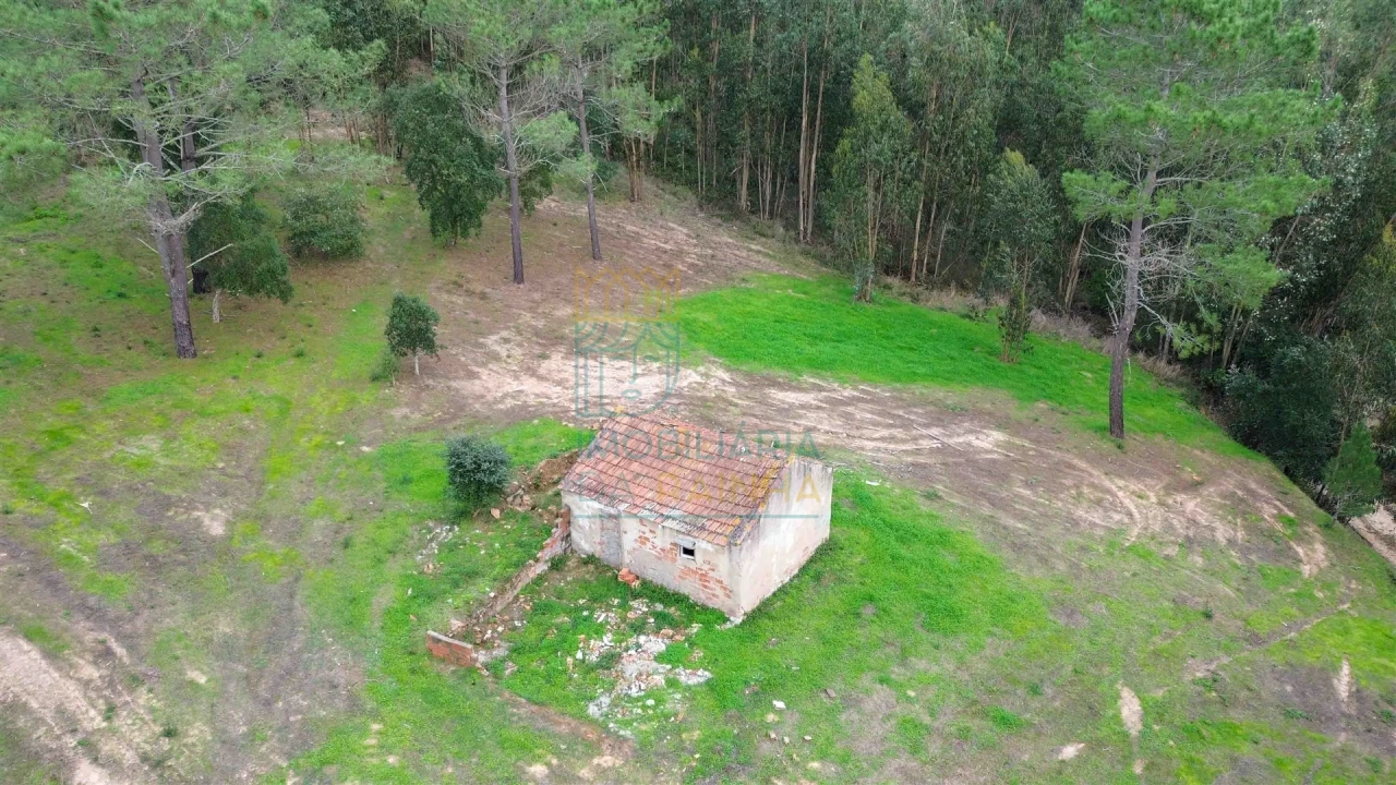 Moradia T2 para Venda em Salir de Matos Foto 4