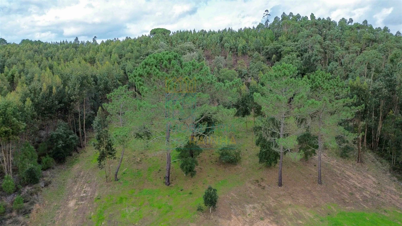 Moradia T2 para Venda em Salir de Matos Foto 13