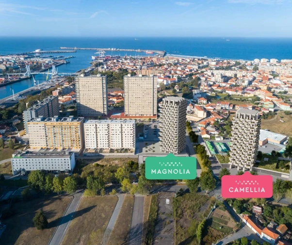 Apartamento T1 para Venda em Matosinhos e Leça da Palmeira Foto 4