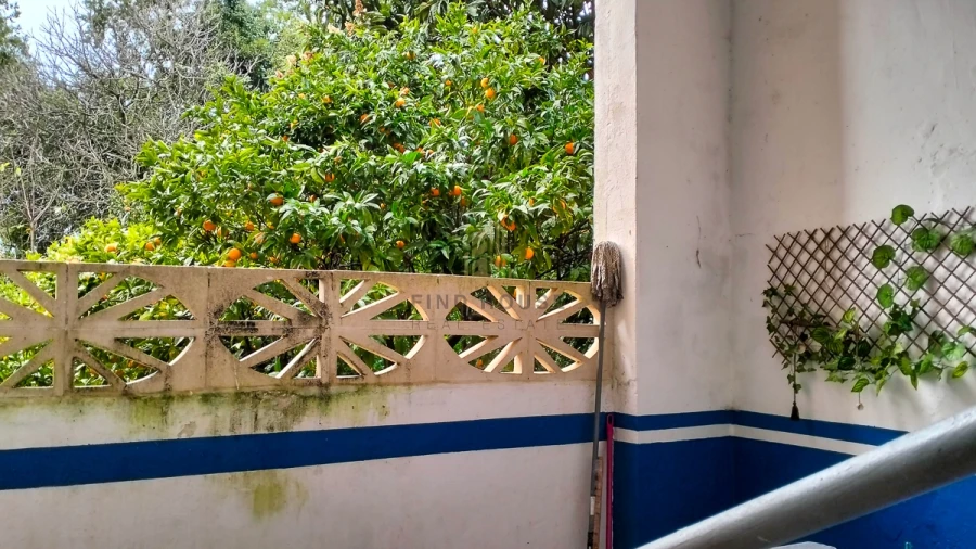 Moradia T7 para Venda em Cadaval e Pêro Moniz Foto 6