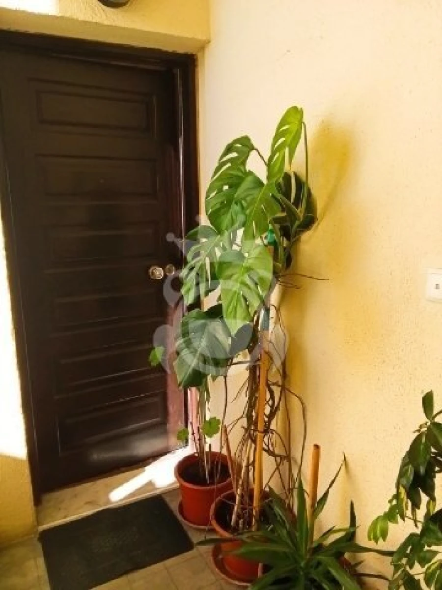 Apartamento T3 para Venda em Malagueira e Horta das Figueiras Foto 5