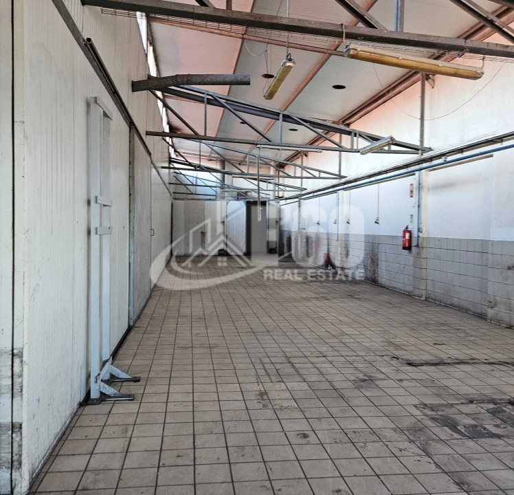 Armazém para Arrendamento em Mozelos Foto 12