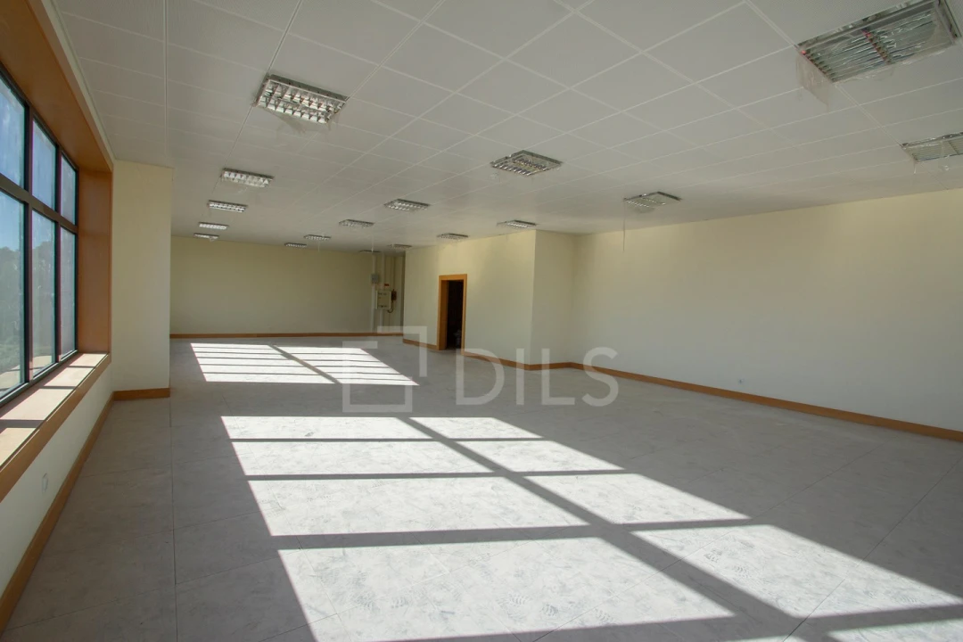 Escritório para Arrendamento em Santa Maria e São Miguel, São Martinho, São Pedro Penaferrim Foto 2