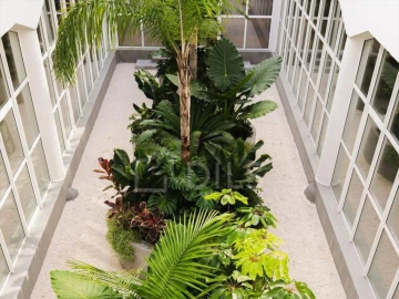 Escritório para Arrendamento em Ajuda