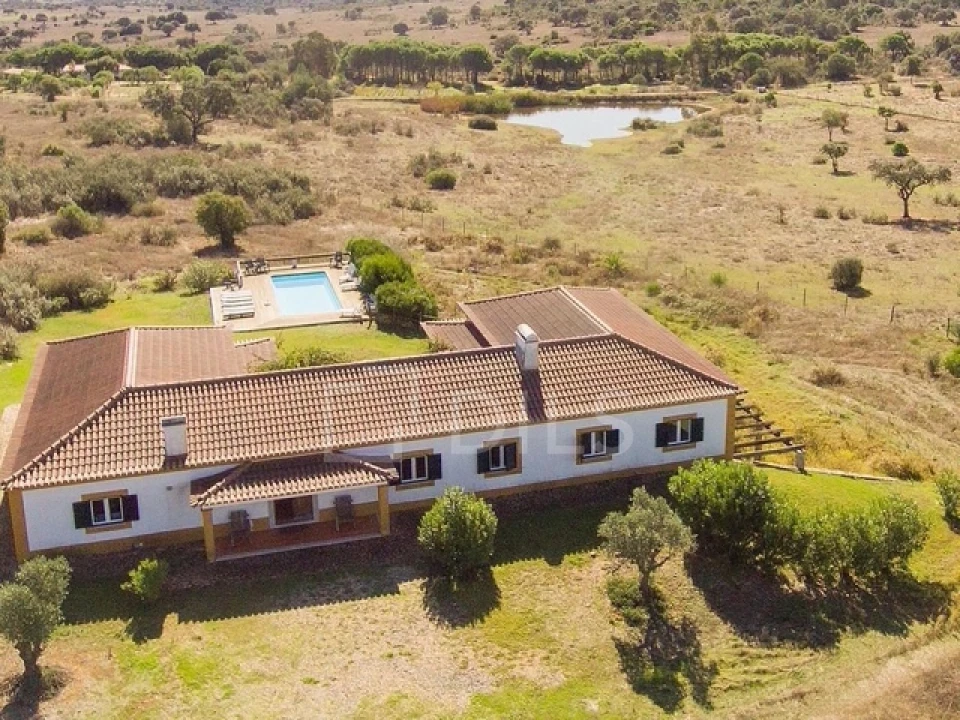 Quinta T6 para Venda em Alcaçovas Foto 22