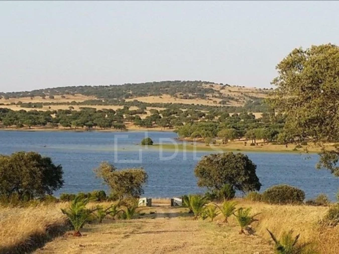 Quinta T6 para Venda em Alcaçovas Foto 18