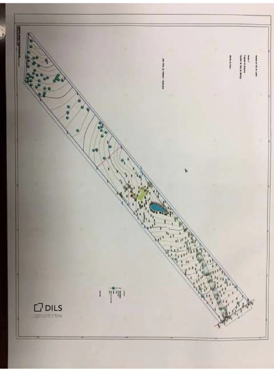 Quinta T6 para Venda em Alcaçovas Planta 16