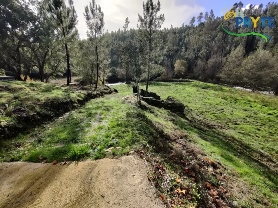 Terreno para Venda em Cumeada e Marmeleiro Foto 12