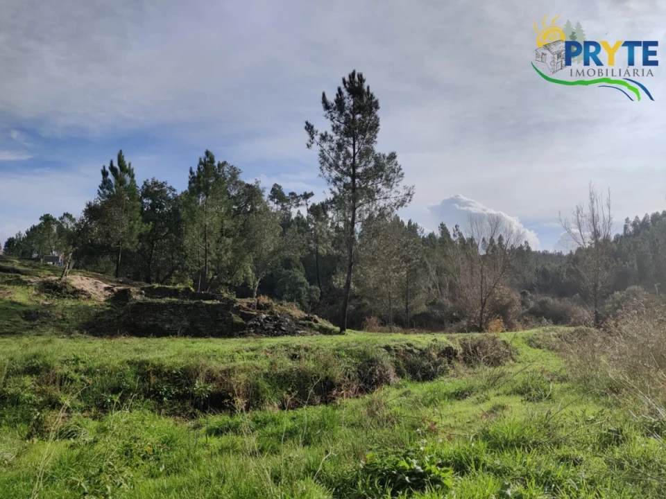 Terreno para Venda em Cumeada e Marmeleiro Foto 16