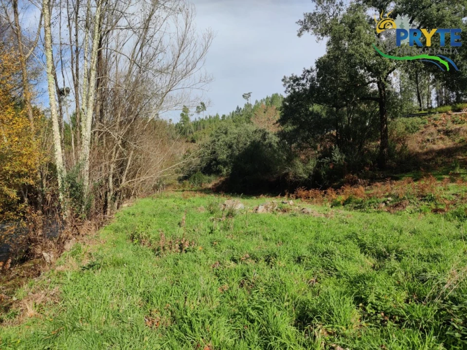 Terreno para Venda em Cumeada e Marmeleiro Foto 17