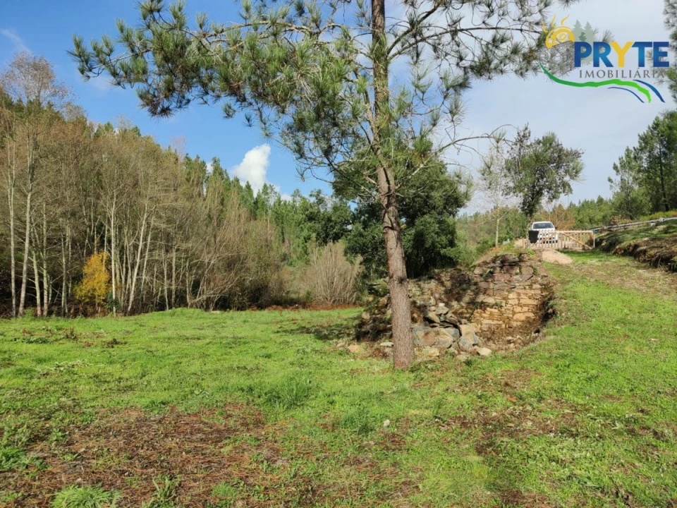 Terreno para Venda em Cumeada e Marmeleiro Foto 18