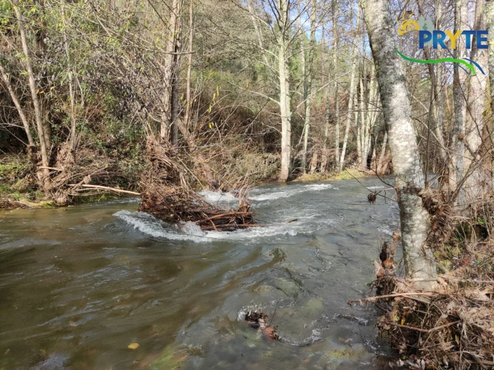 Terreno para Venda em Cumeada e Marmeleiro Foto 21