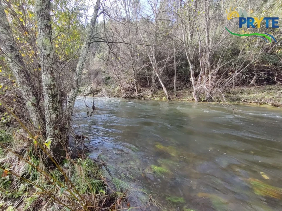 Terreno para Venda em Cumeada e Marmeleiro Foto 22