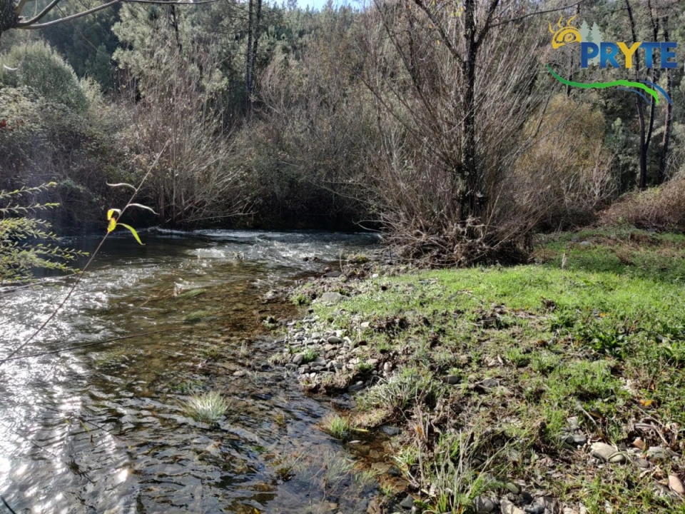 Terreno para Venda em Cumeada e Marmeleiro Foto 23