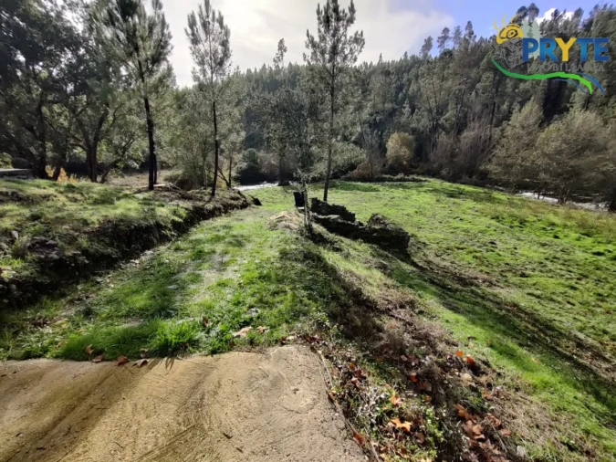 Terreno para Venda em Cumeada e Marmeleiro Foto 12