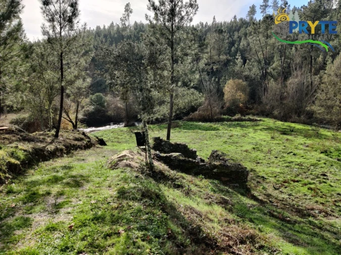 Terreno para Venda em Cumeada e Marmeleiro Foto 13