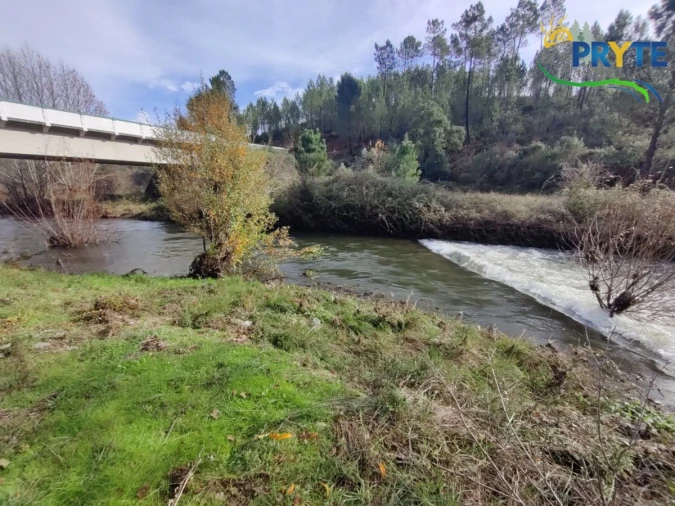 Terreno para Venda em Cumeada e Marmeleiro Foto 15