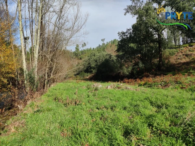 Terreno para Venda em Cumeada e Marmeleiro Foto 17