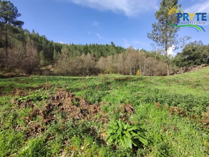 Terreno para Venda em Cumeada e Marmeleiro Foto 19