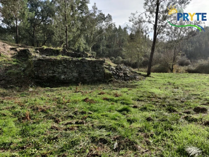 Terreno para Venda em Cumeada e Marmeleiro Foto 20