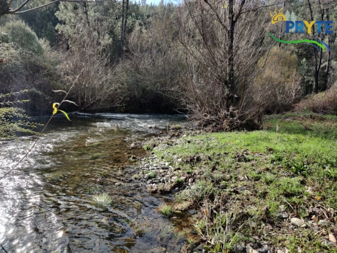 Terreno para Venda em Cumeada e Marmeleiro Foto 23