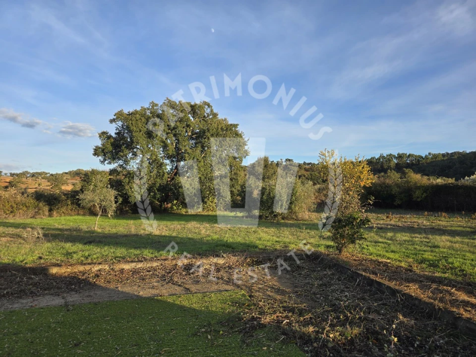 Moradia T2 para Venda em Colos Foto 19