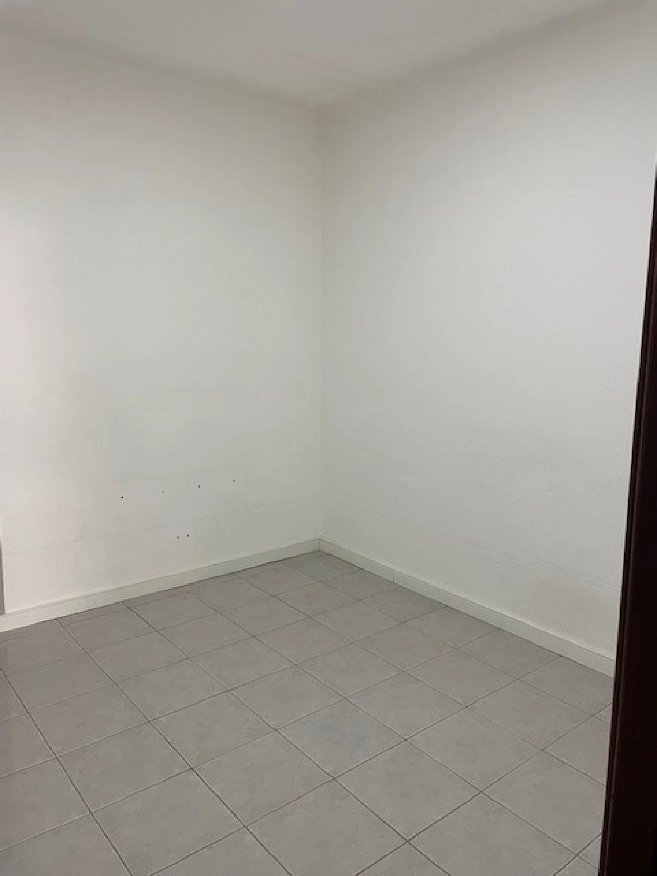 Loja para Arrendamento em Ponte de Sor, Tramaga e Vale de Açor Foto 6