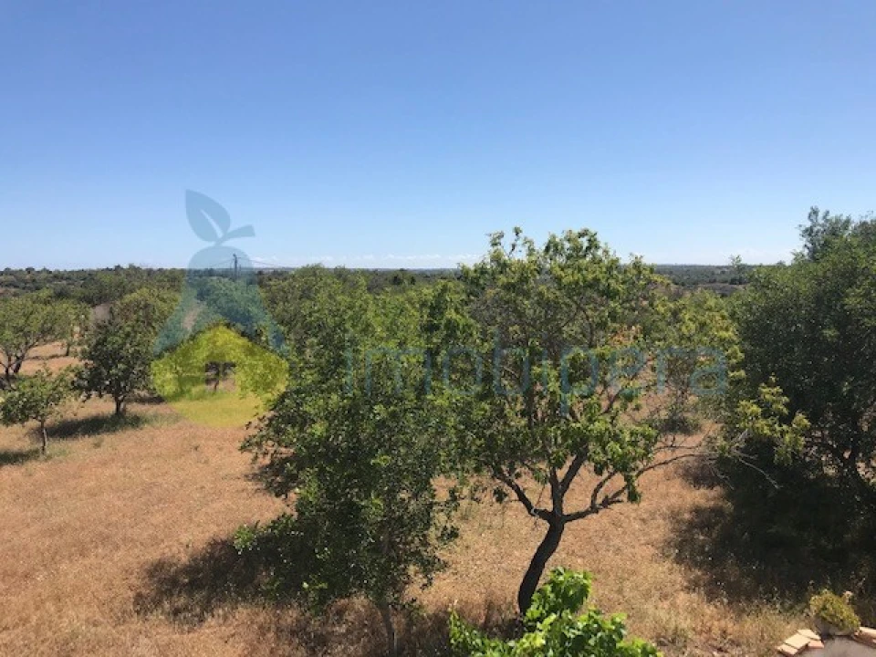 Quinta T4 para Venda em Algoz e Tunes Foto 29