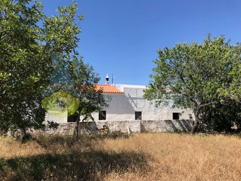 Quinta T4 para Venda em Algoz e Tunes Foto 33