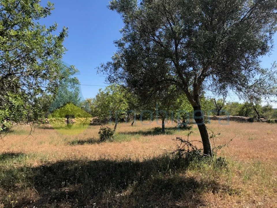 Quinta T4 para Venda em Algoz e Tunes Foto 37