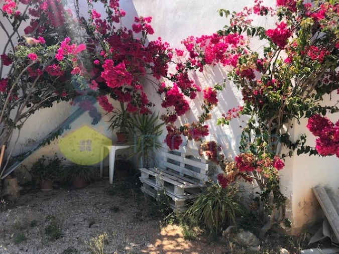 Quinta T4 para Venda em Algoz e Tunes Foto 10